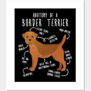 Border Terrier Red Dog Anatomy Posters and Art